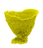 #640 Medium Vase Sponge