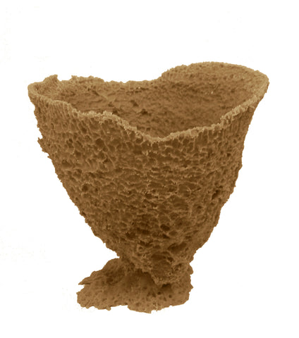#640 Medium Vase Sponge