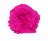#712 Small Ball Lettuce