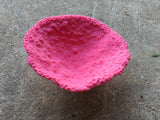 #033 Medium Oval cup coral