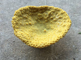 #033 Medium Oval cup coral