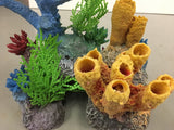 Custom Coral Insert/Cave