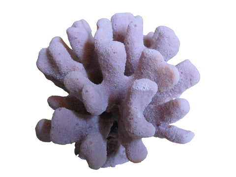 artificial coral medium club foot coral
