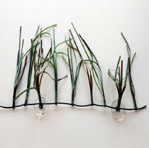 Shoal Grass (SPECIAL ORDER - 4-6 WEEK LEAD TIME ON THIS ITEM)
