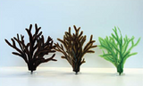 Toothed Wrack