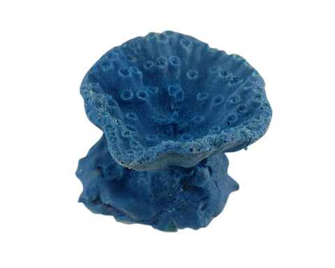 artificial coral small oval cup seahorse feeding cup