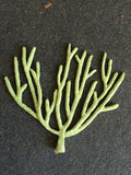 #13 Artificial coral Sea gorgonian (plexaura flexuosa) great as a seahorse hitching post