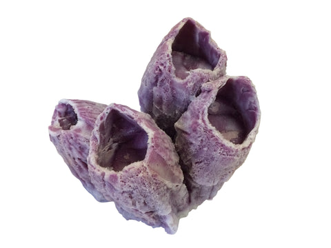 artificial coral large barnacle shell