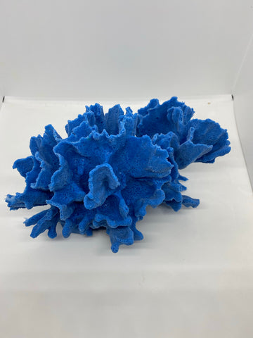 Blue ridge coral cluster large #524