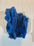 #522 Blue Ridge Coral