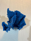#522 Blue Ridge Coral