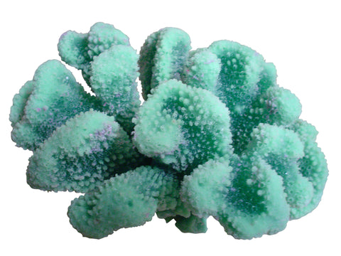artificial corals large cauliflower acropora coral
