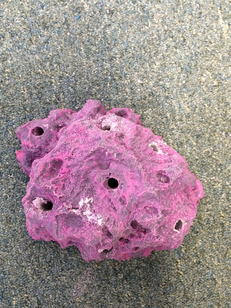 Medium standard Base Rock Island – Ocean Aquaria