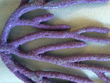 #13 Artificial coral Sea gorgonian (plexaura flexuosa) great as a seahorse hitching post