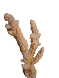 artificial corals small finger acropora